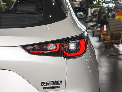 2025�� 2.0L �Զ�����������