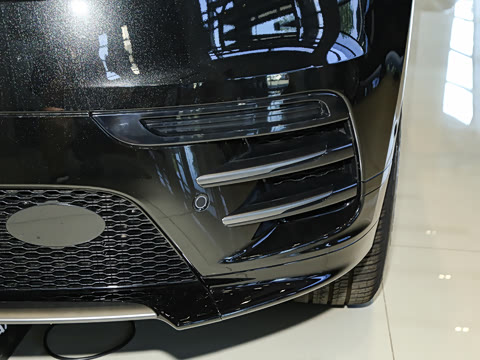 2026�� 250PS Dynamic SE