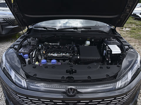2026�� 1.5L �������� ������