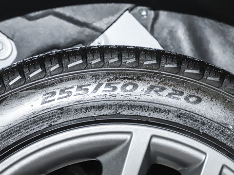 2026�� 250PS Dynamic SE