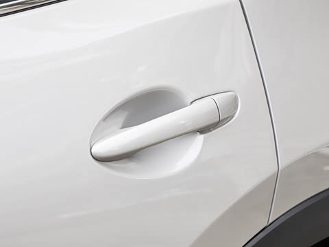 2025�� 2.0L �Զ���������Pro