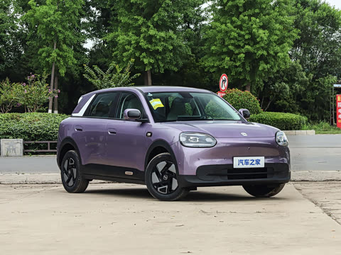 2026�� 310������