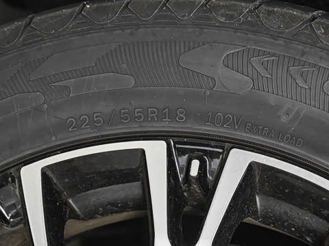 2026�� 200km ��������������¶Ӫ��