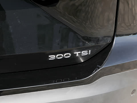 2026�� �Ŀ� ̽��L 300TSI ������Ӣ
