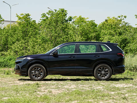 2026�� 240TURBO ������Ӣ�� 5��