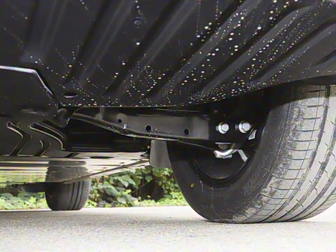 2026��  PURE+��