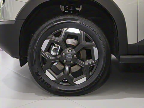 2025�� 2.0TD XWD��Խ