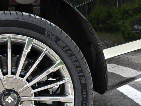 2025�� �Ŀ� 350 Max���������״��