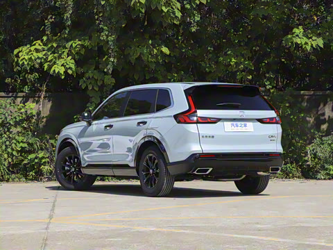 2026�� ȫ��30����ҫ�� 2.0L e:HEV ����������