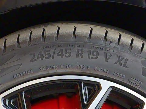 2025�� ���� 230Pro�캽��