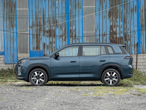 2026�� 650 ��׼��