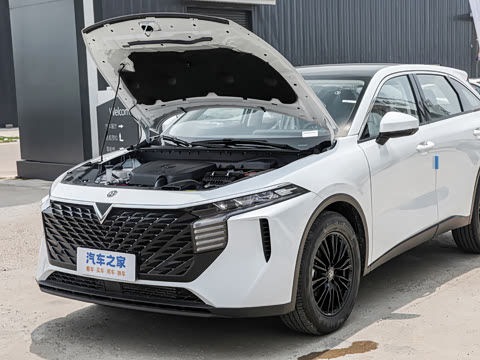 2026�� 260T ������ Pro