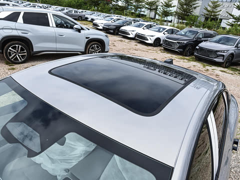 2025�� DM-i �Ǽݰ� 245KM�����