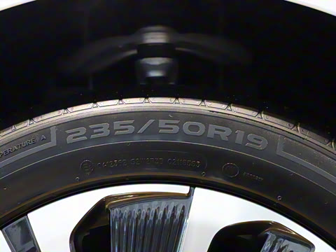 2025�� ������