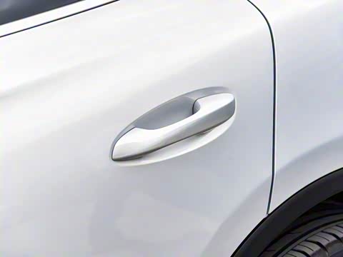 2025�� �Ǽݰ� DM-i 175KM ������