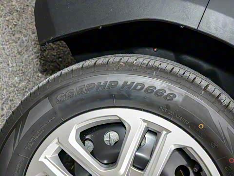 2025�� 1.5L ������