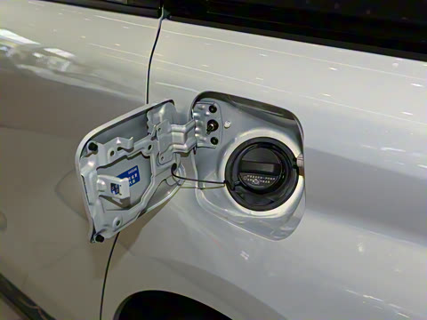 2026�� 2.5L ˫��������������