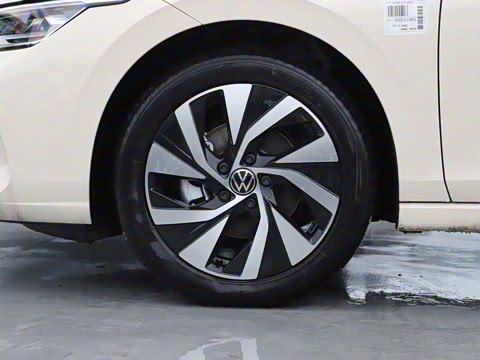 2025�� �Ŀ� 300TSI Pro