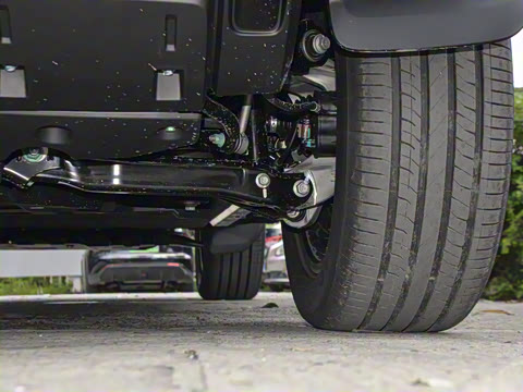 2026�� 550���������˶���