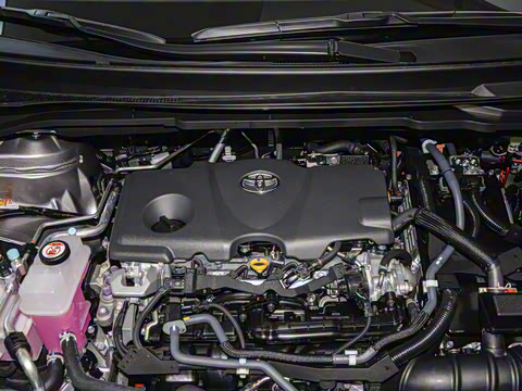 2026�� 2.5L ˫������������