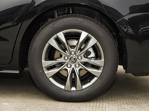 2026�� 2.5L ����׿��318��