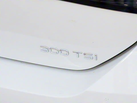 2026�� L 300TSI DSG ������