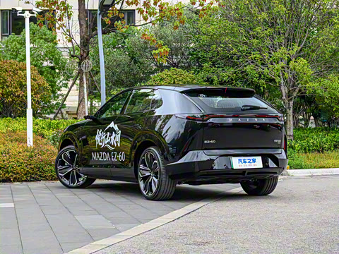 2025�� ����600 Max