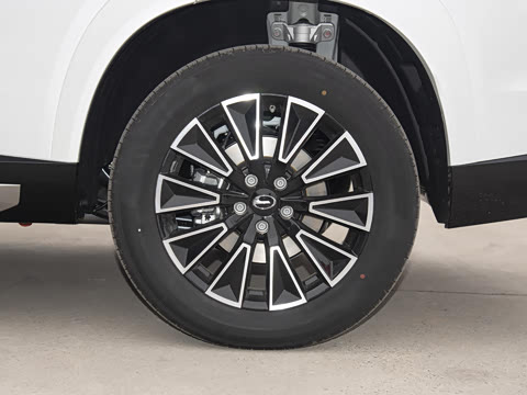 2025�� 205km Pro+��