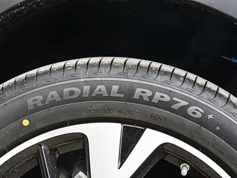 2026�� DM-i 220KM��Խ��