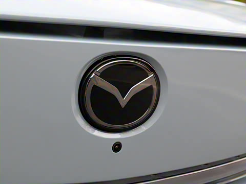 2025�� ����600 Max