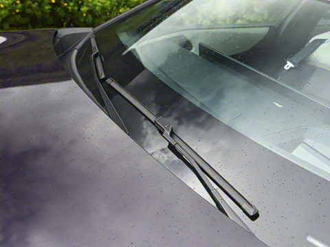 2025�� ����200 Max