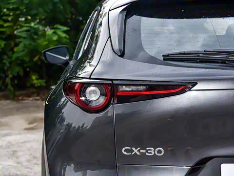 2025�� 2.0L �Զ�������