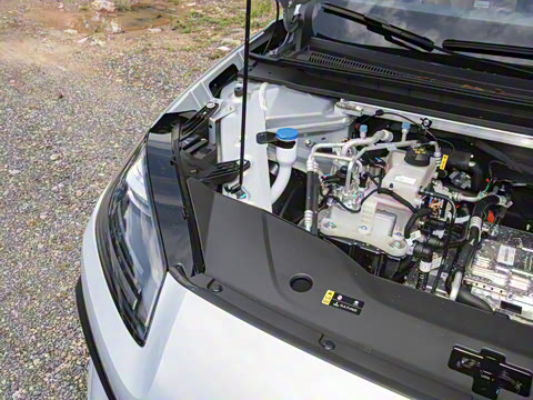 2026�� 520�Ǻ���