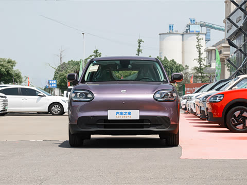 2026�� 310�Ȱ���