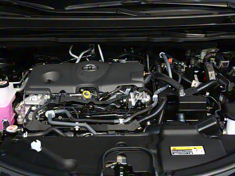 2026�� 2.5L ˫��������������