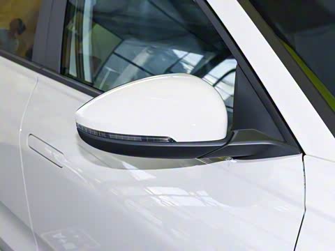 2026�� Pro 300TSI �������