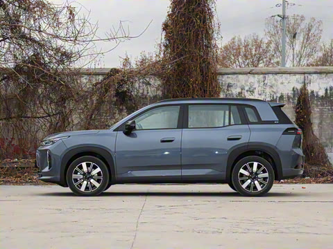 2026�� 650 ��׼��