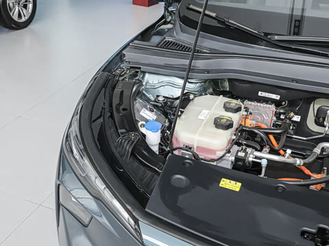 2026�� 565km ������
