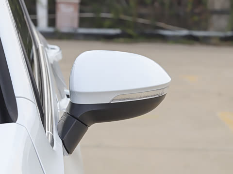 2026�� 300TSI Pro