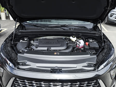 2026�� ������Plus ����Avenir��ά��