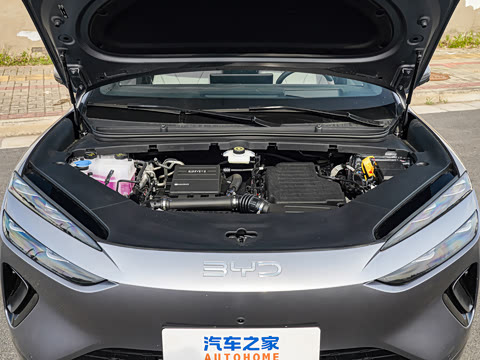2026�� DM-i 310�콢��