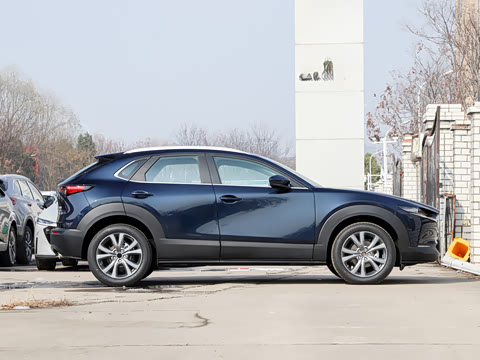 2025�� 2.0L �Զ�������