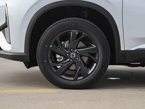 2025�� 518 ��ݰ�