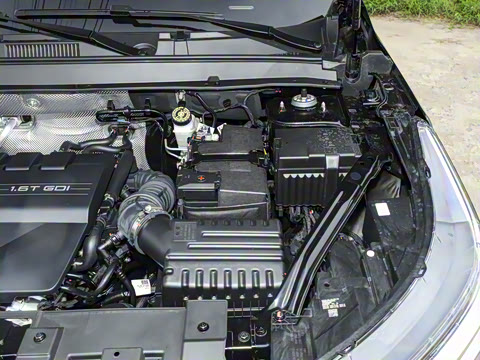 2025�� 290T ��������+