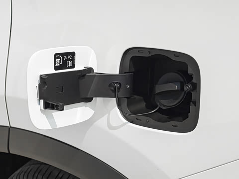 2026�� 290TGDI DCT������ 5��