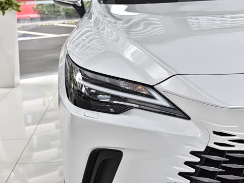 2026�� 300 ����������