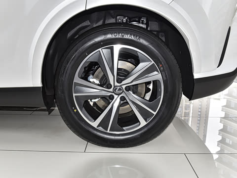 2026�� 300 ����������