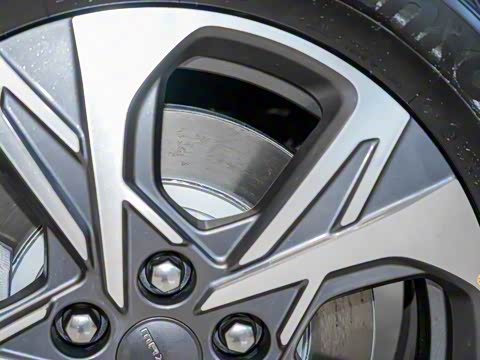 2025�� ���� �������������� ����