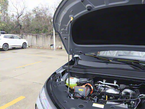 2025�� 112KM�����