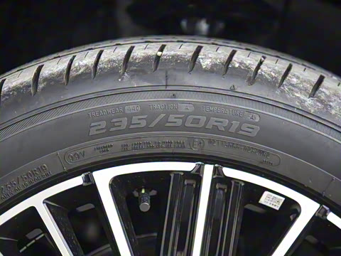 2025�� 300T ������ҹ��